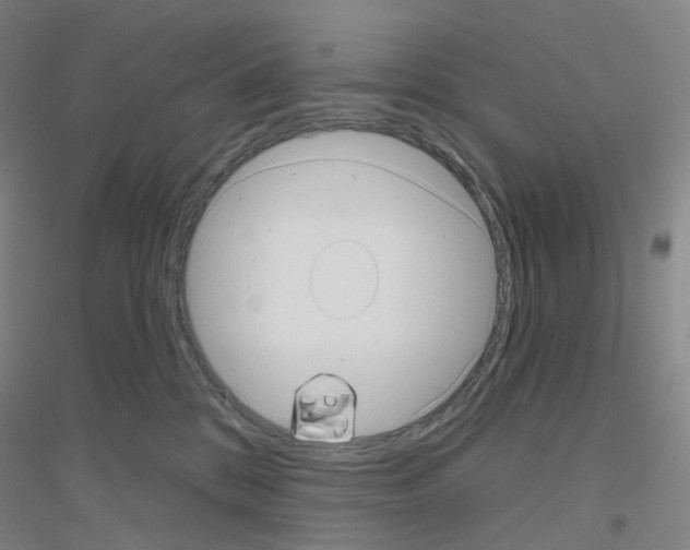 X0000116810328201001291606