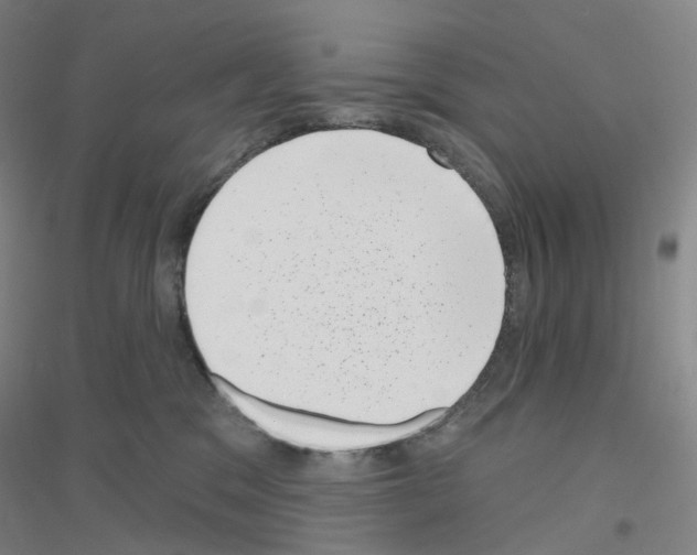 X0000116810329201001291606