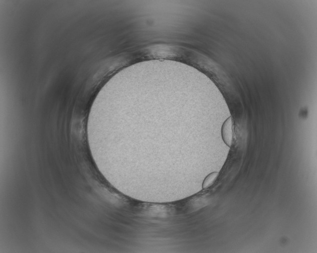 X0000116810330201001291606