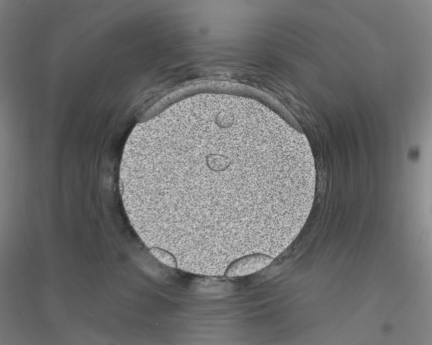 X0000116810331201001291606