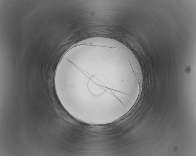 X0000116810332201001291606