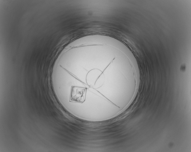 X0000116810333201001291606