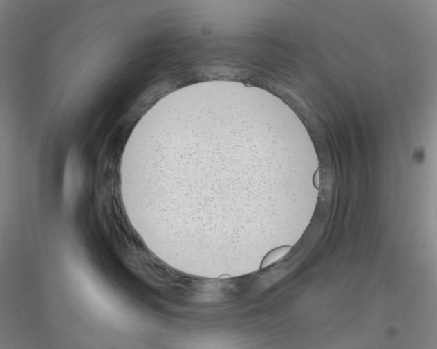X0000116810334201001291606
