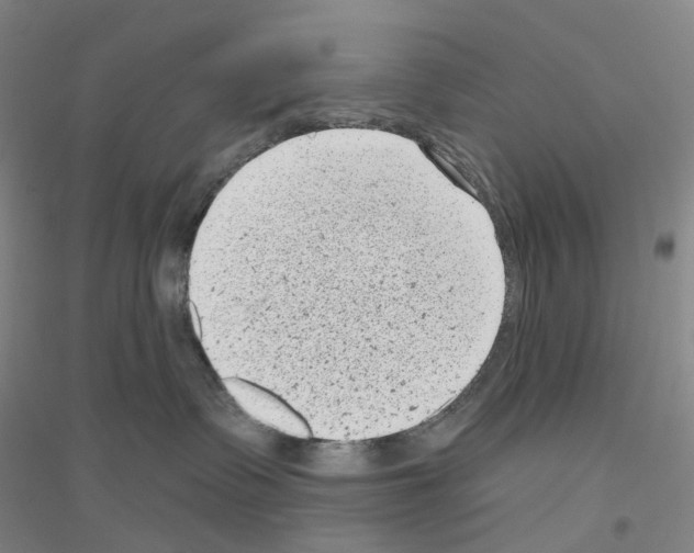 X0000116810335201001291606