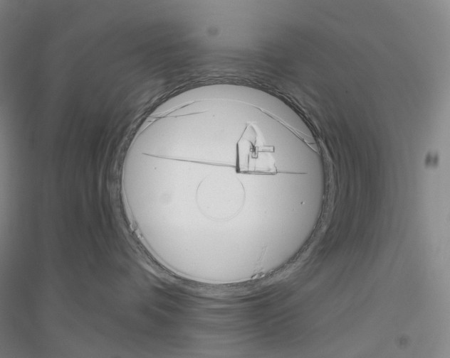X0000116810336201001291606