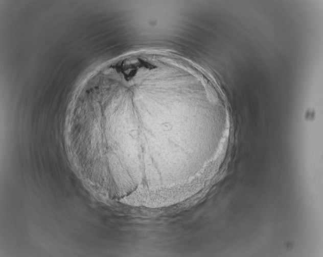 X0000116810337201001291606