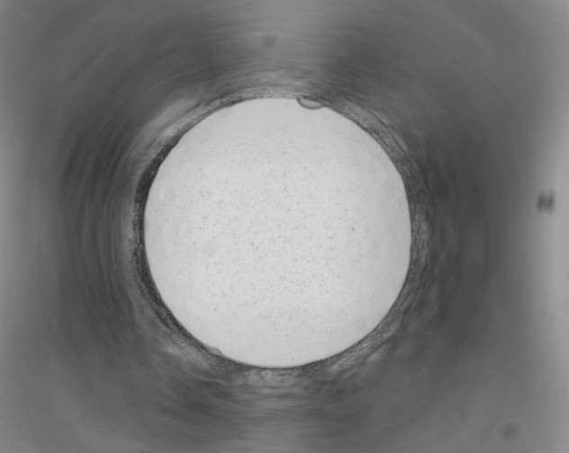 X0000116810338201001291606