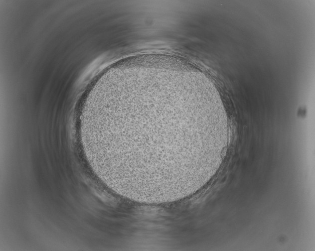 X0000116810339201001291606