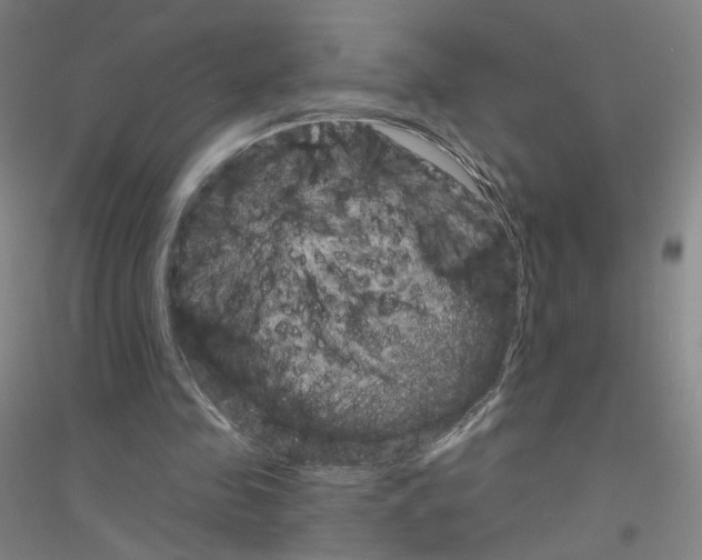 X0000116810341201001291606