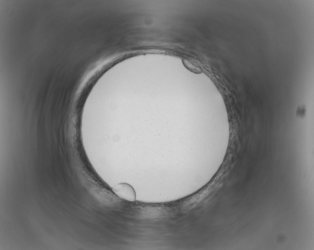 X0000116810342201001291606