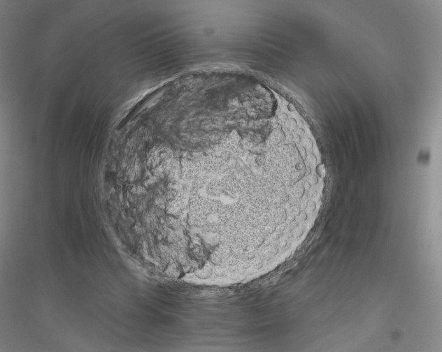 X0000116810345201001291606