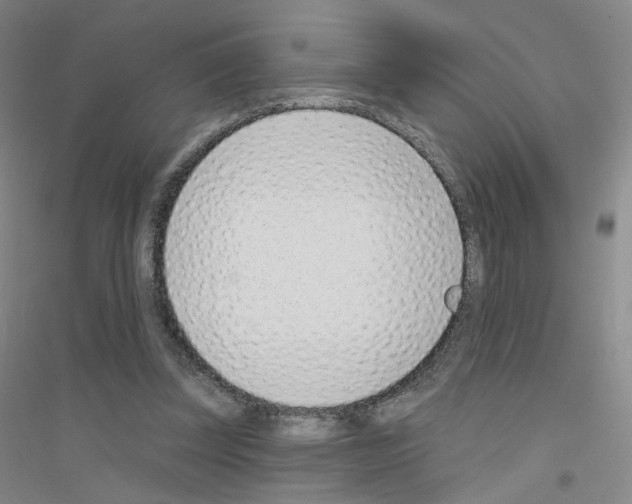 X0000116810347201001291606