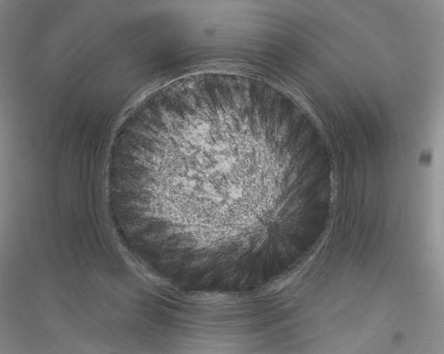 X0000116810349201001291606