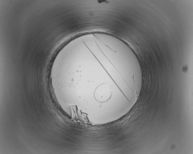 X0000116810350201001291606