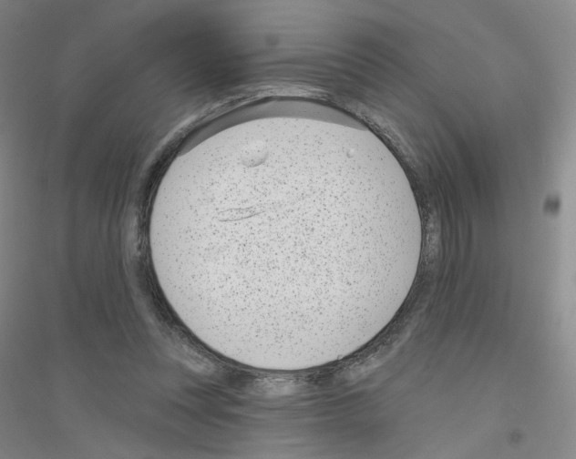X0000116810351201001291606