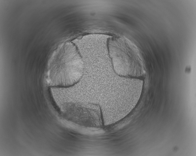 X0000116810353201001291606