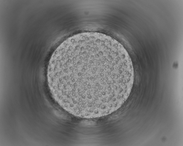 X0000116810354201001291606