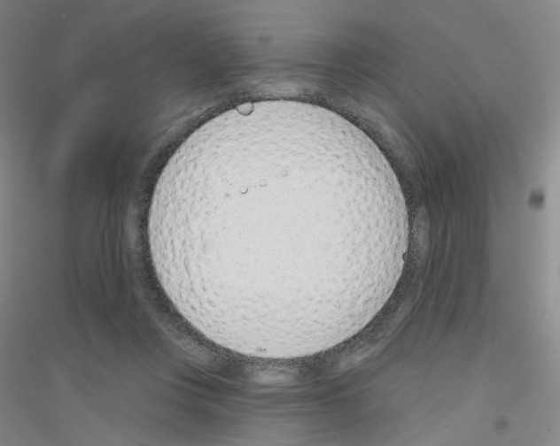 X0000116810359201001291606