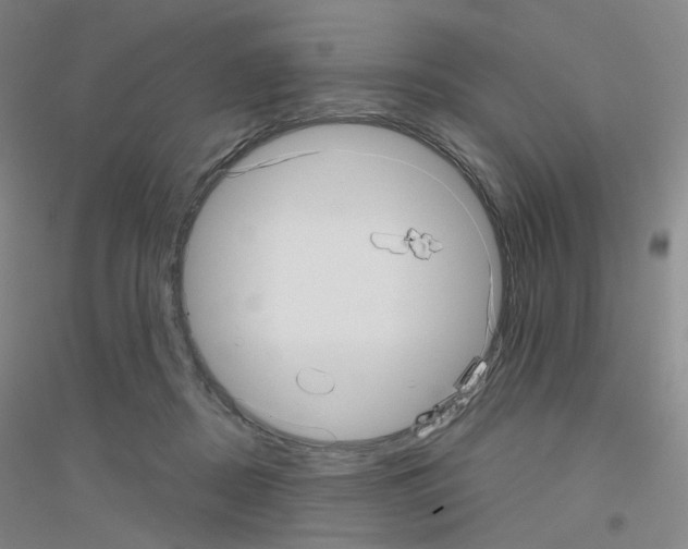 X0000116810362201001291606