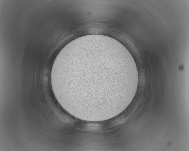X0000116810363201001291606