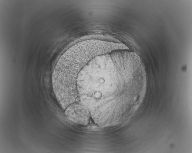 X0000116810365201001291606