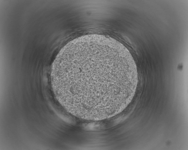 X0000116810366201001291606