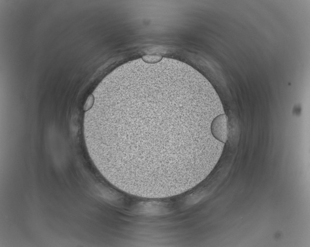 X0000116810367201001291606