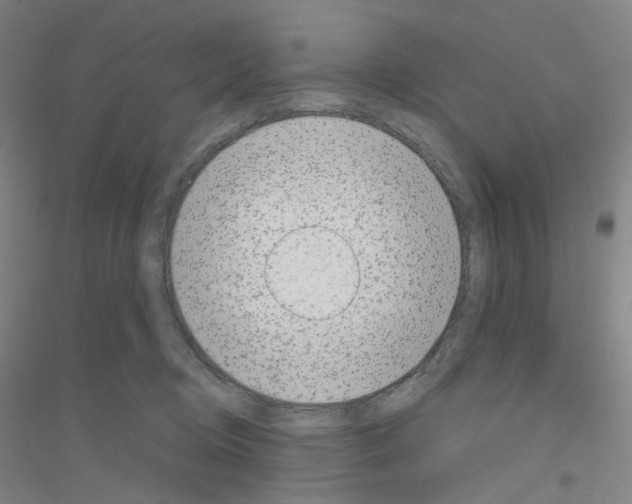 X0000116810370201001291606