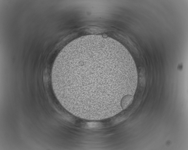 X0000116810371201001291606