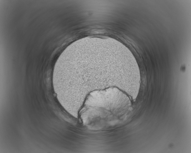 X0000116810373201001291606
