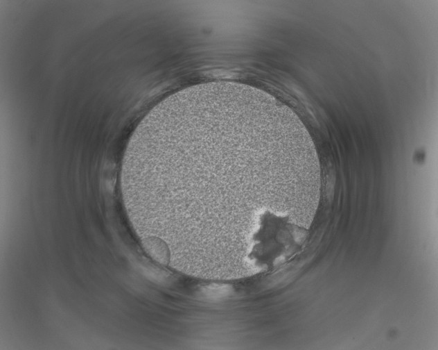 X0000116810374201001291606