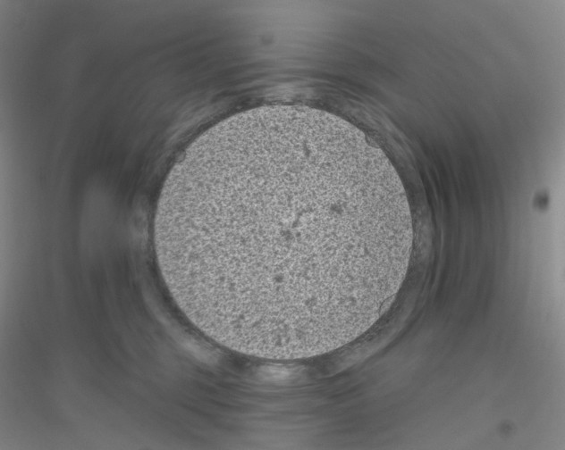 X0000116810375201001291606