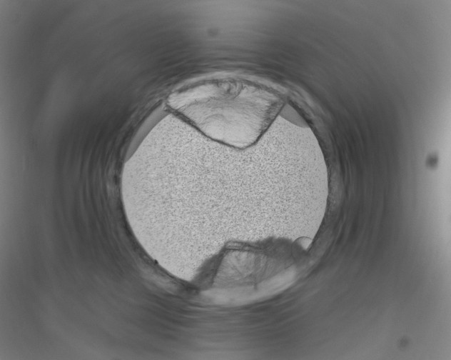 X0000116810377201001291606