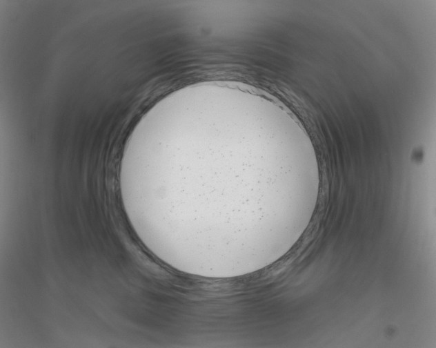 X0000116810379201001291606