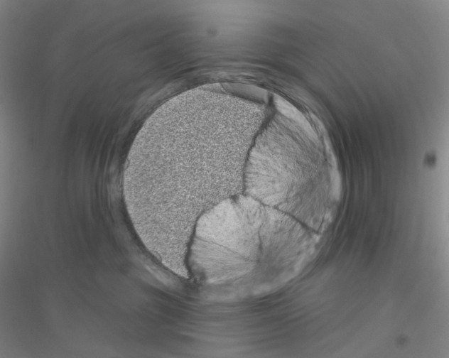 X0000116810381201001291606