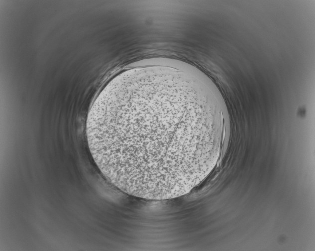 X0000116810382201001291606
