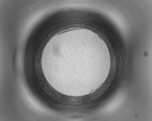 X0000116810383201001291606