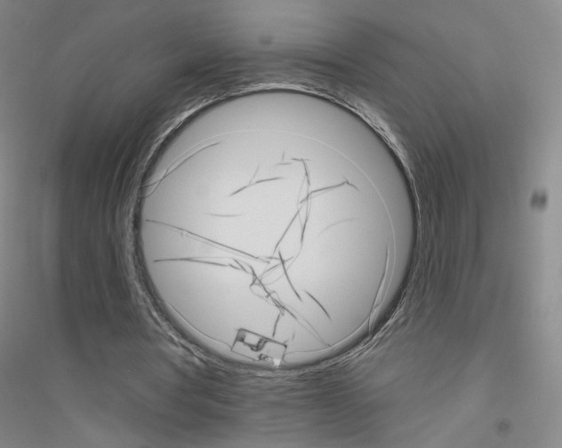 X0000116810386201001291606