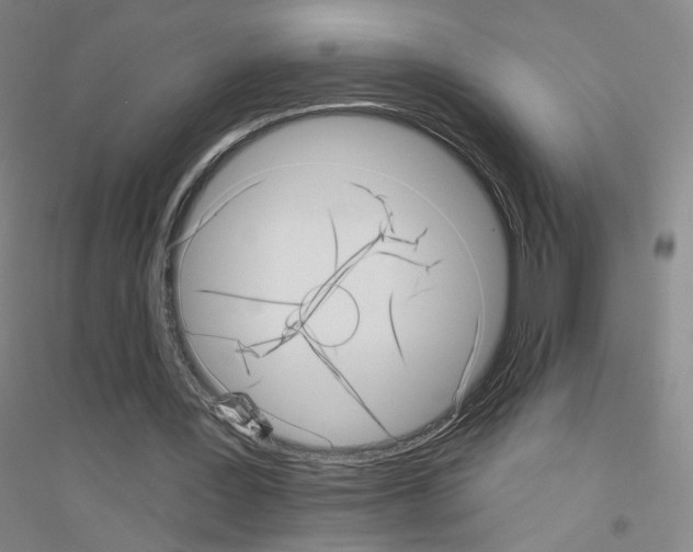X0000116810387201001291606