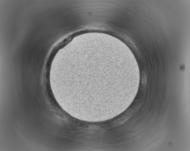 X0000116810388201001291606