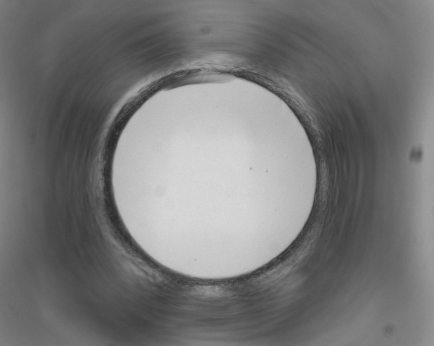 X0000116810392201001291605