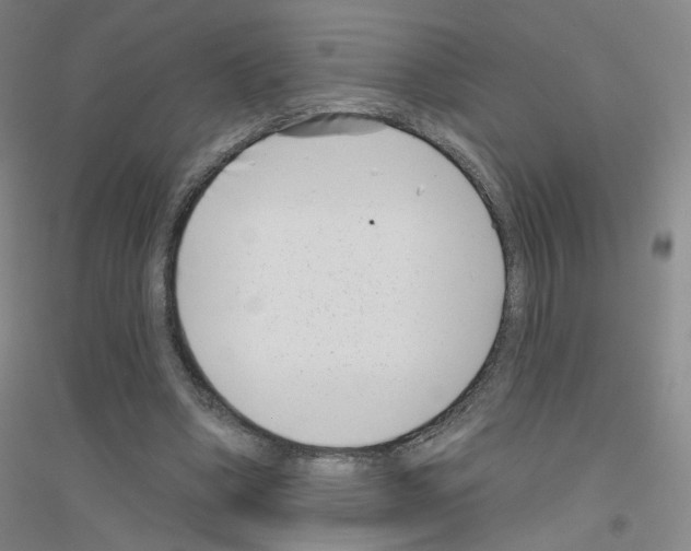 X0000116810394201001291605