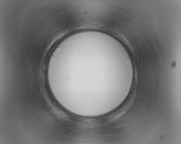 X0000116810396201001291605