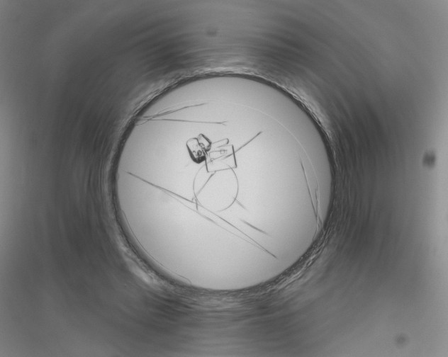 X0000116810397201001291605