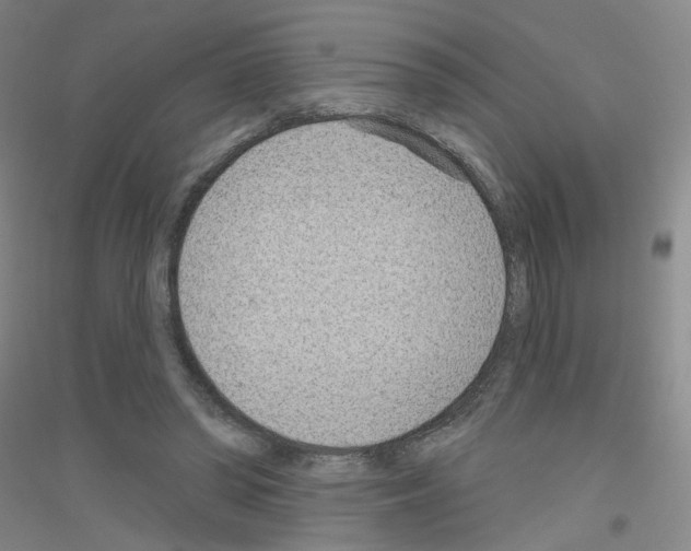 X0000116810398201001291605