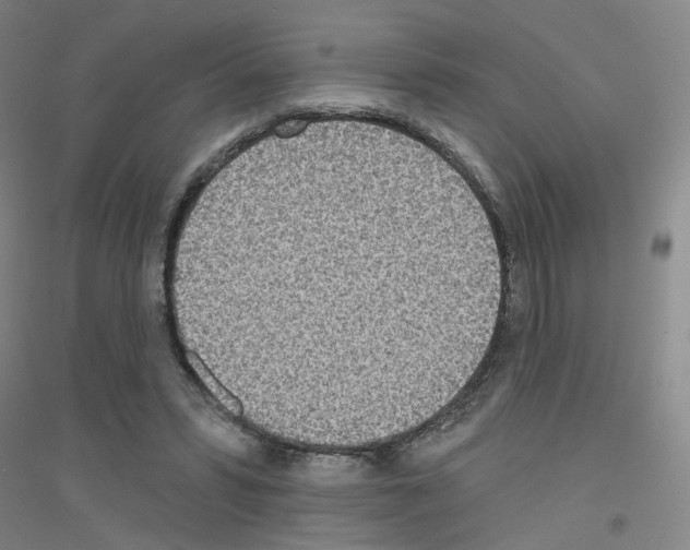X0000116810399201001291605