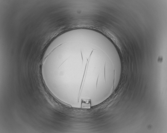 X0000116810401201001291605