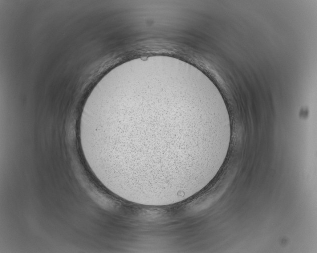 X0000116810402201001291605