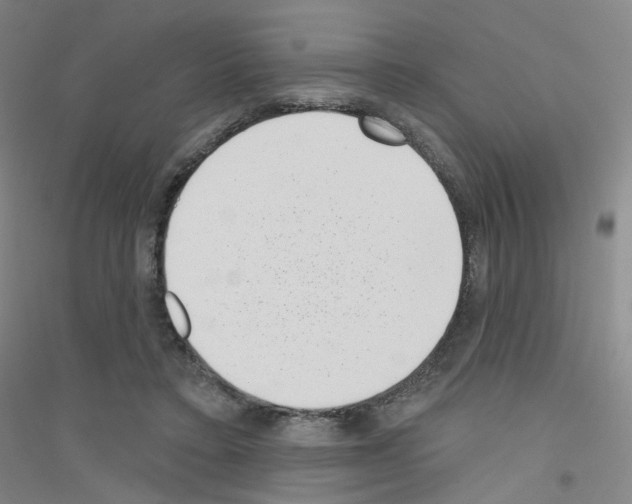 X0000116810403201001291605