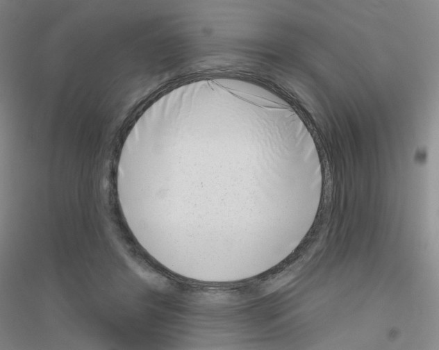 X0000116810404201001291605